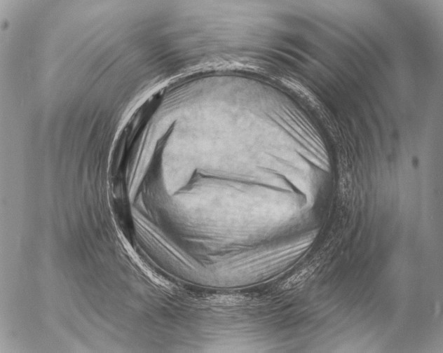 X0000053080894200508081242