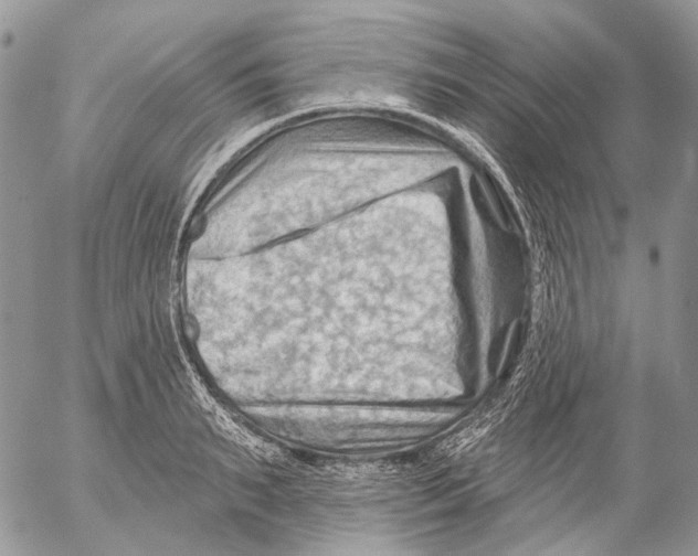 X0000053080895200508081242