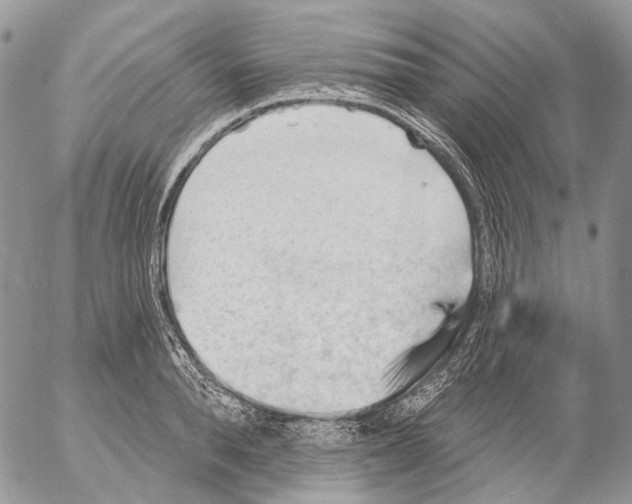 X0000053080896200508081242