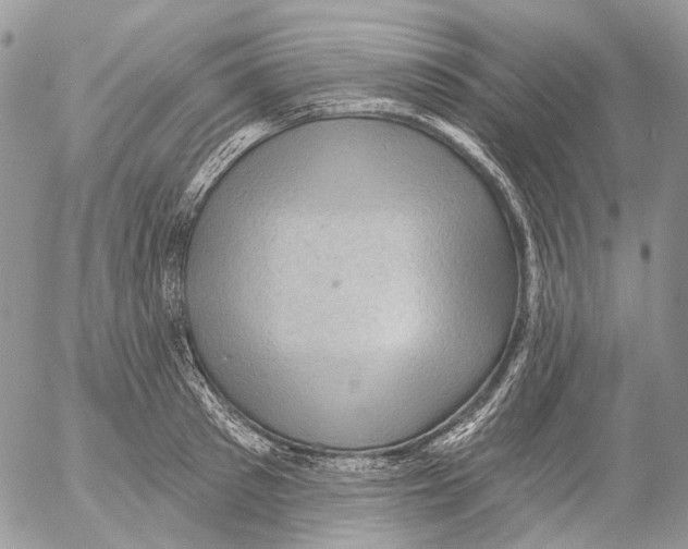 X0000053080897200508081242