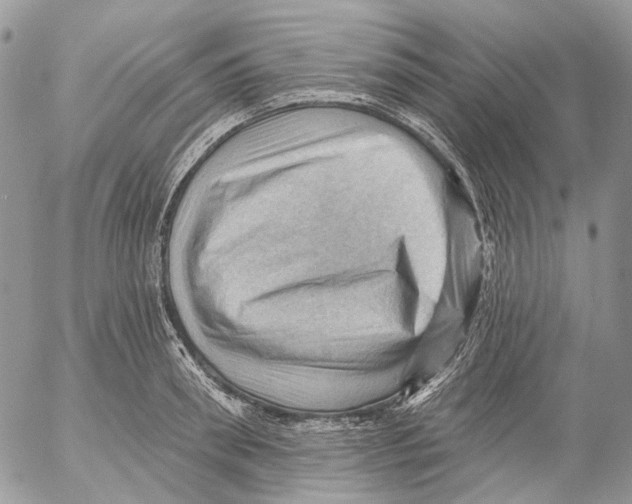 X0000053080898200508081242