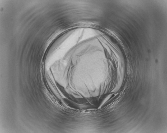 X0000053080899200508081242