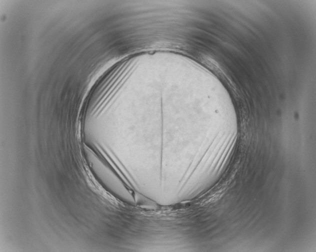 X0000053080900200508081242