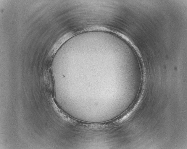 X0000053080905200508081242