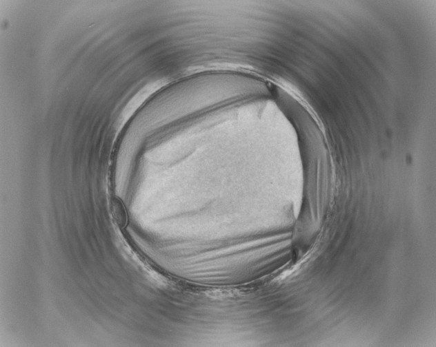 X0000053080906200508081242