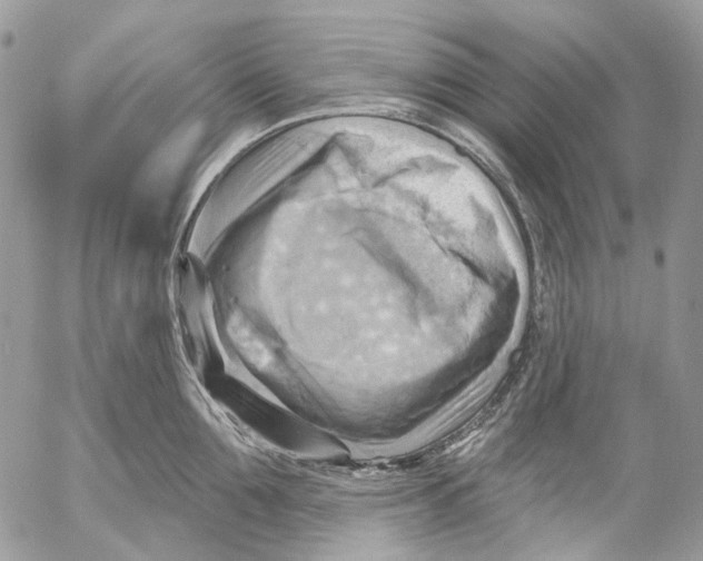 X0000053080907200508081242