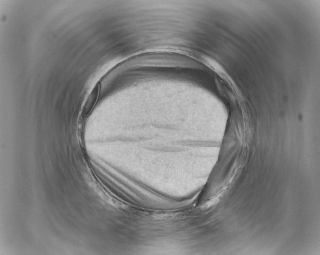 X0000053080908200508081242