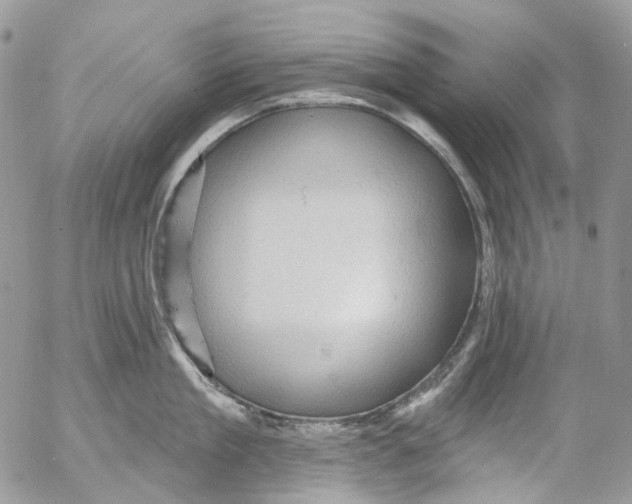 X0000053080909200508081242