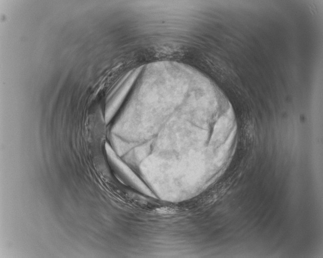 X0000053080914200508081241