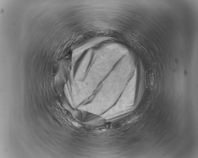 X0000053080916200508081241