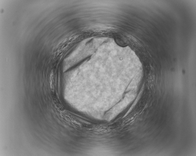 X0000053080917200508081241