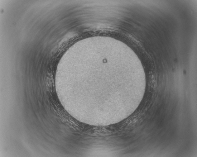 X0000053080918200508081241