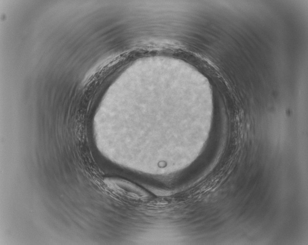 X0000053080919200508081241