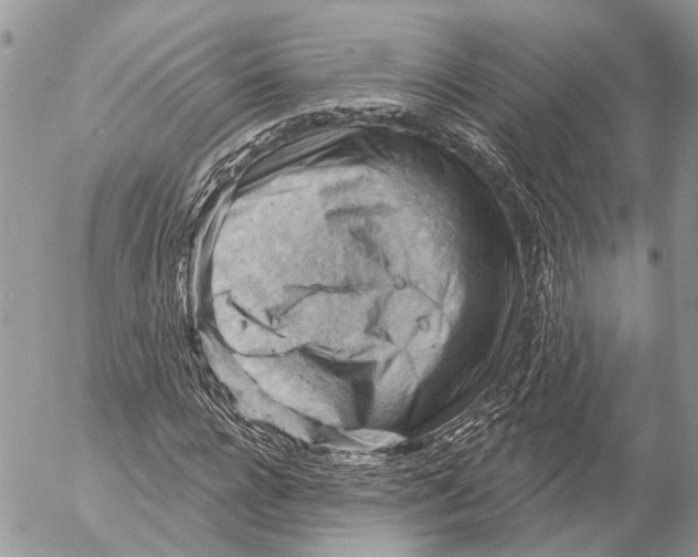 X0000053080920200508081241