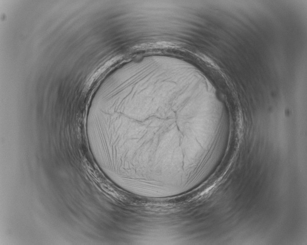 X0000053080921200508081241