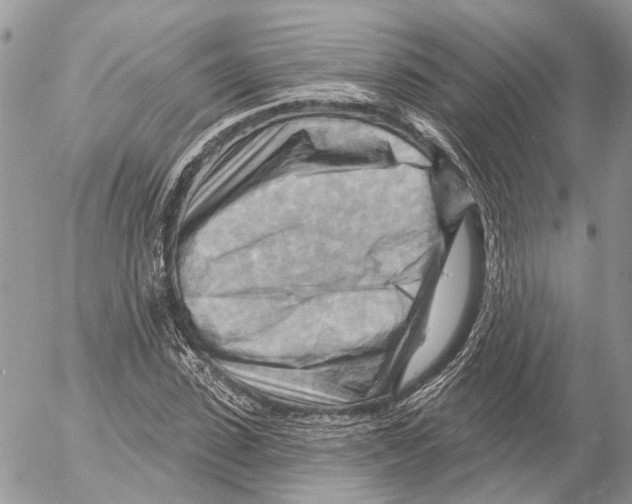 X0000053080923200508081241