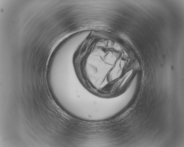 X0000053080924200508081241