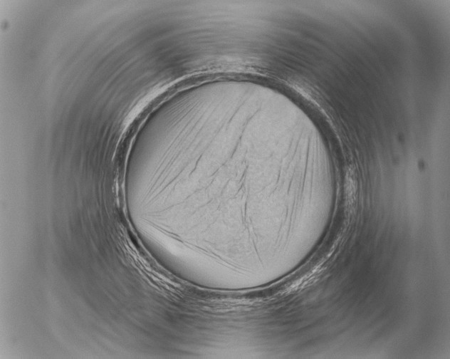 X0000053080925200508081241