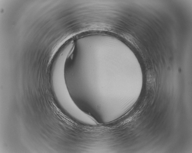 X0000053080926200508081241