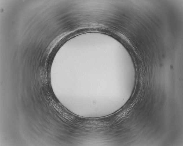 X0000053080927200508081241