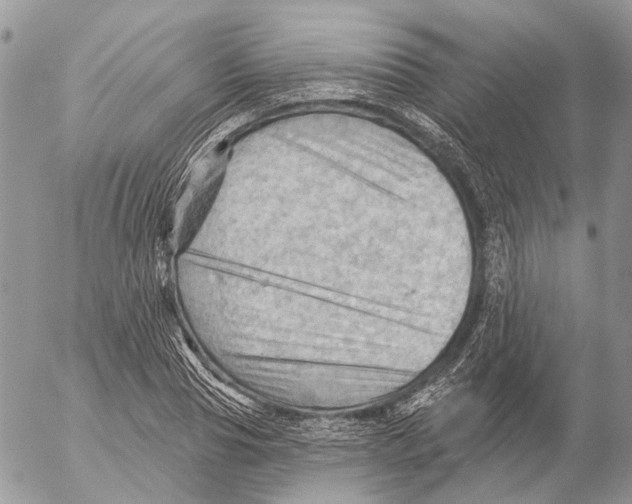 X0000053080929200508081241