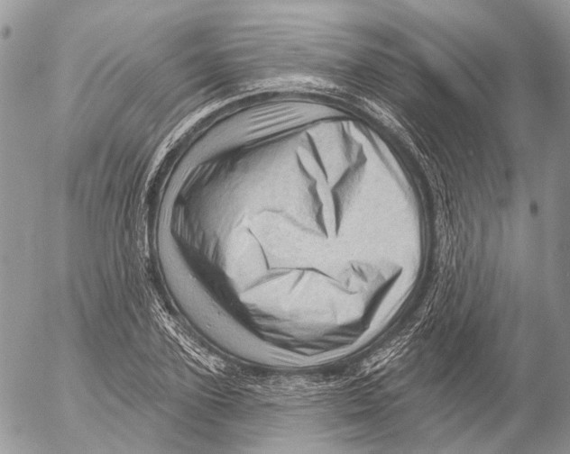 X0000053080931200508081241