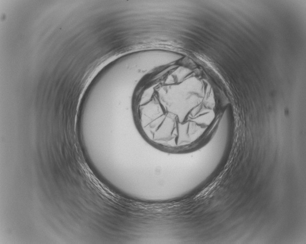 X0000053080932200508081241