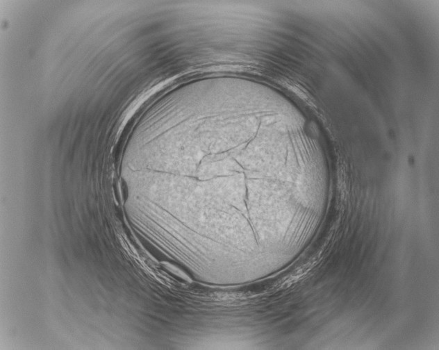 X0000053080933200508081241