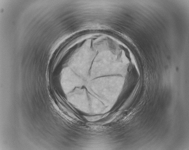 X0000053080935200508081241