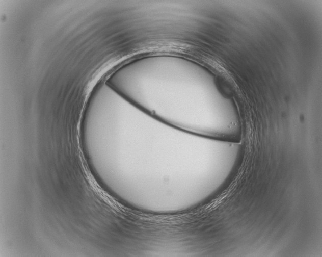 X0000053080936200508081242