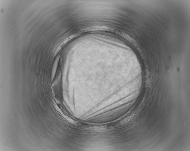 X0000053080937200508081242