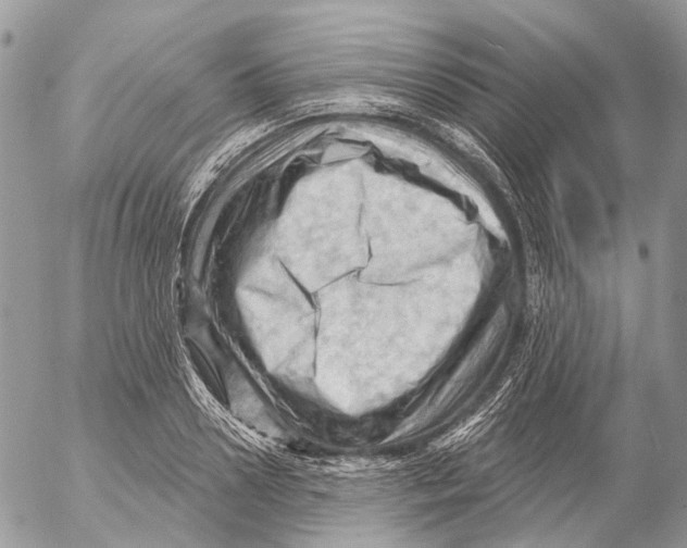 X0000053080938200508081242