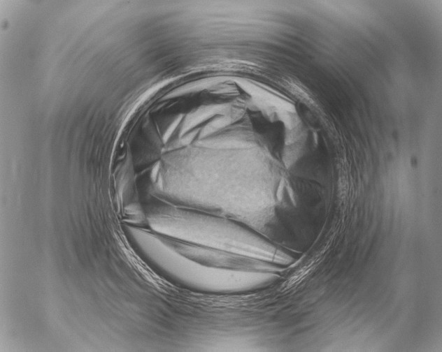 X0000053080940200508081242