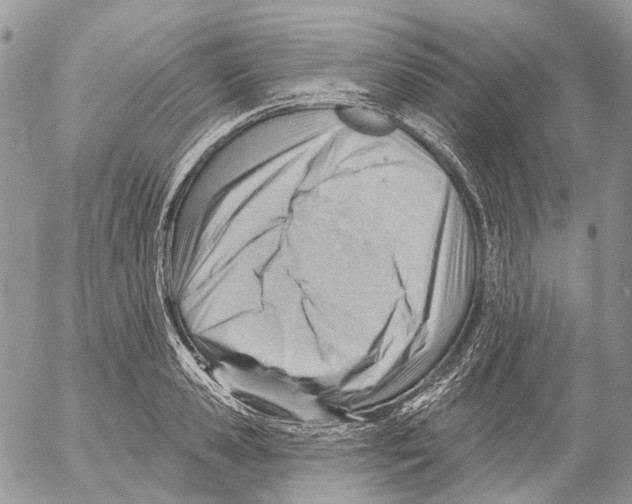 X0000053080941200508081242