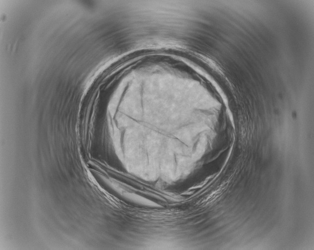 X0000053080943200508081242