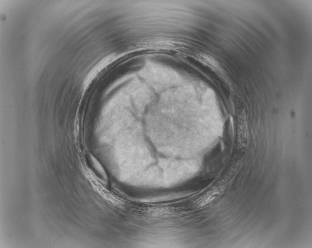 X0000053080944200508081242