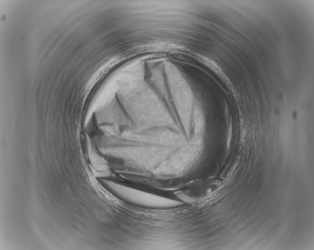 X0000053080946200508081242