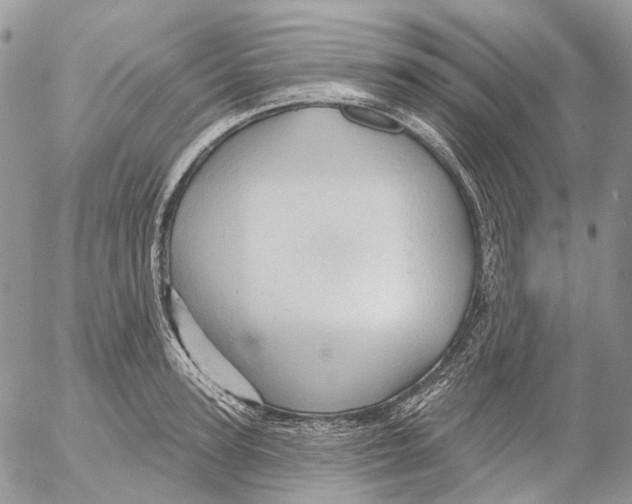 X0000053080947200508081242