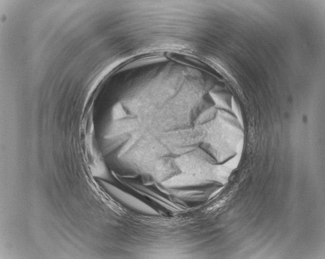 X0000053080948200508081242