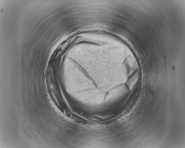 X0000053080949200508081242