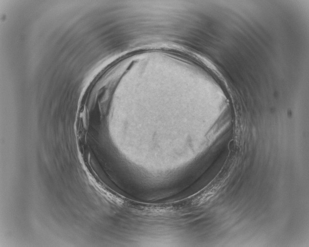 X0000053080951200508081242