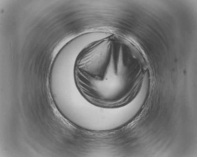 X0000053080952200508081242