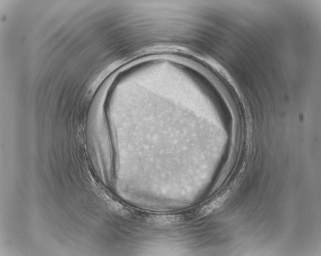 X0000053080953200508081242