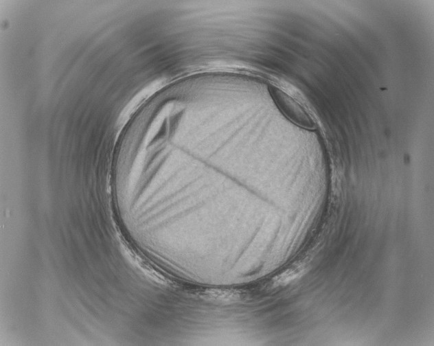 X0000053080954200508081242