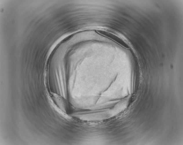 X0000053080955200508081242