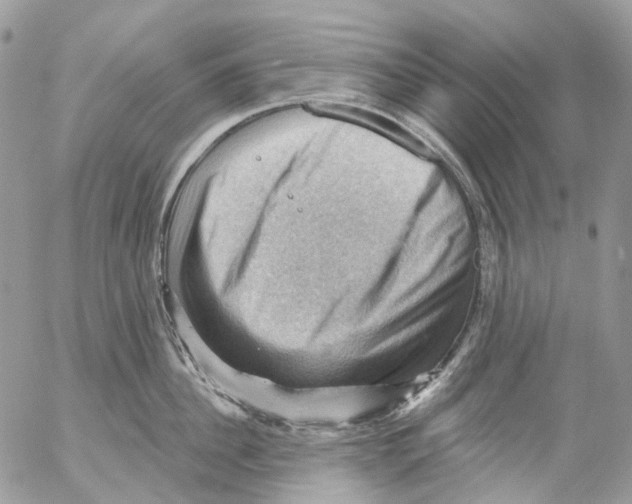 X0000053080956200508081242