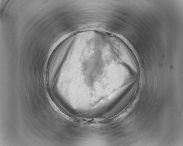 X0000053080957200508081242