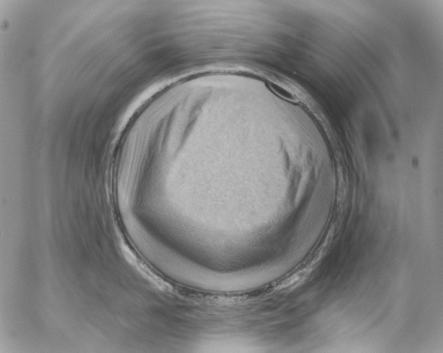 X0000053080958200508081242