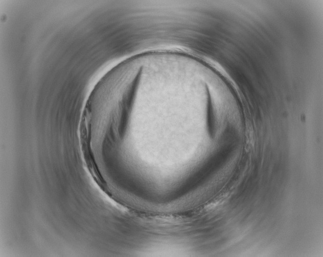 X0000053080959200508081242