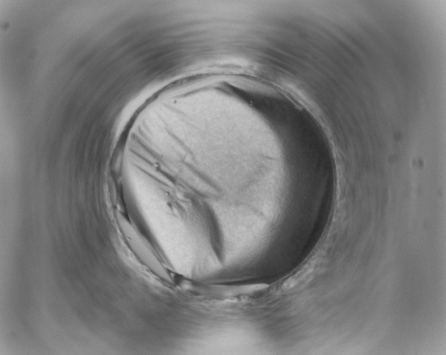 X0000053080960200508081242